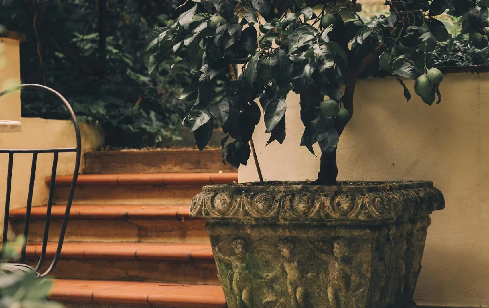Casa Profumoir - Olfactive Experience Apartment Florence